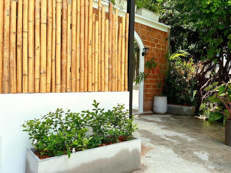 /international/th/khrua-duang-chit-60-8-ซอยกระ-10-talat-yai-amphoe-mueang-phuket-phuket-province-83000-tha-talat-yai-phuket-province-340105132074/