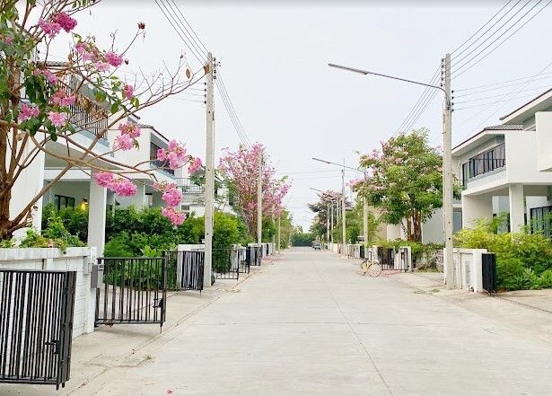 /international/th/highway-3702-tha-sa-an-bang-pakong-chachoengsao-24130-tha-tha-sa-an-chachoengsao-340105128109/