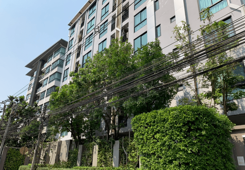 /international/th/43-soi-babot-2-phra-khanong-khlong-toei-bangkok-10110-thailand-khlong-toei-bangkok-340105121052/