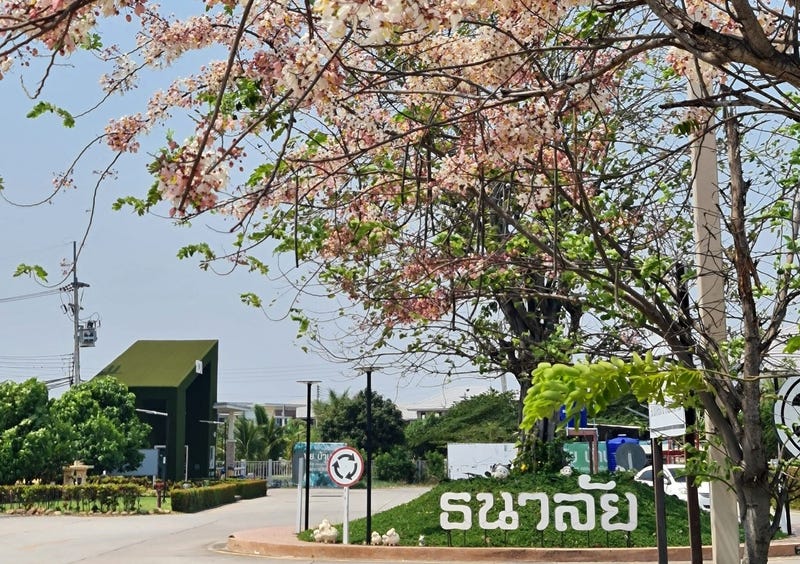 /international/th/om-costume-map-phai-ban-bueng-chon-buri-20170-thailand-ban-bueng-phichit-340105154033/