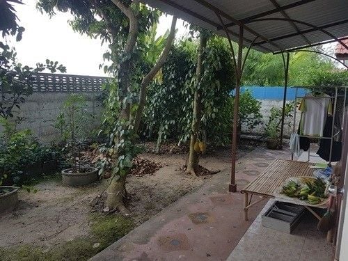 /international/th/maitri-chit-9-samwa-tawan-ok-khlong-sam-wa-bangkok-10510-thailand-khlong-sam-wa-bangkok-340105124018/