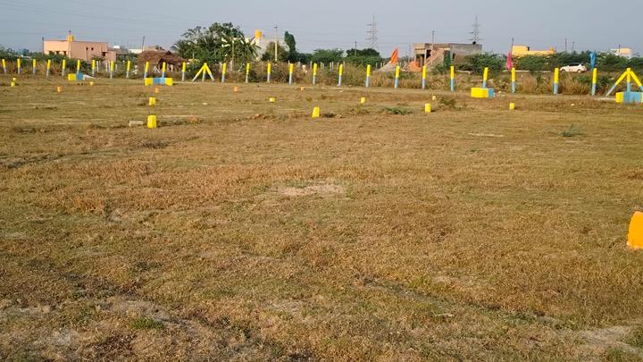 /international/in/mgm-nagar-chennai-tamil-nadu-250109077907/