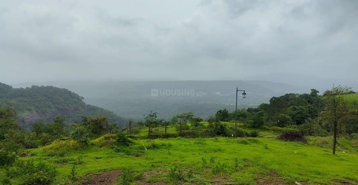 /international/in/pen-raigad-maharashtra-250105714302/