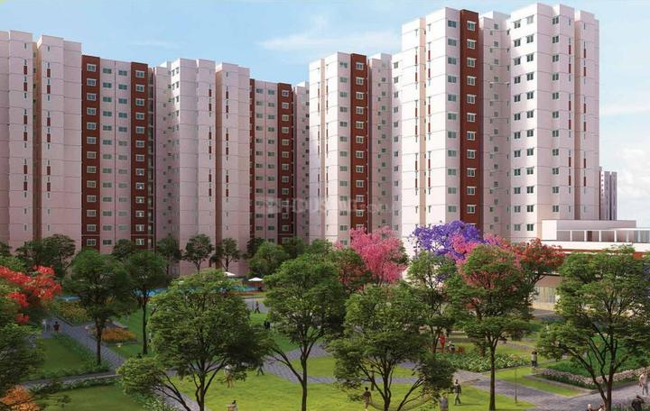 /international/in/attibele-bengaluru-karnataka-250105478876/