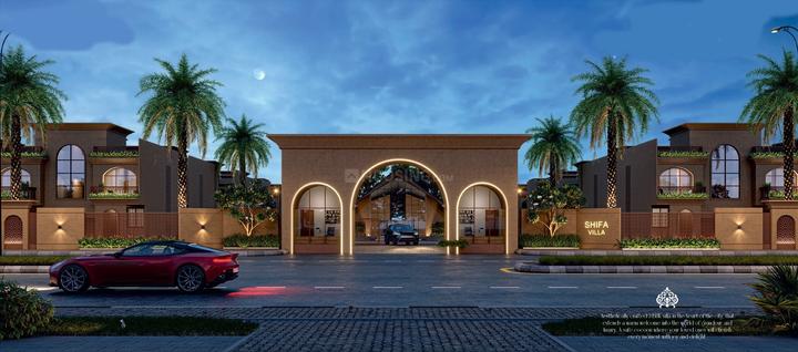 /international/in/olpad-surat-gujarat-250105473055/
