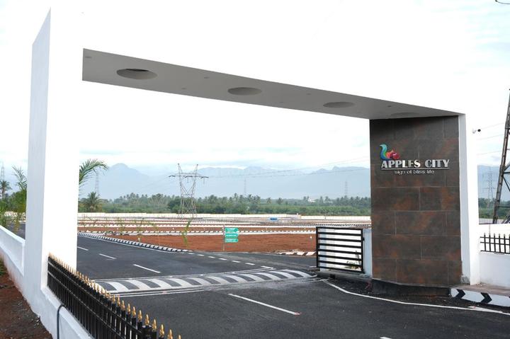 /international/in/mettupalayam-coimbatore-tamil-nadu-250105466378/