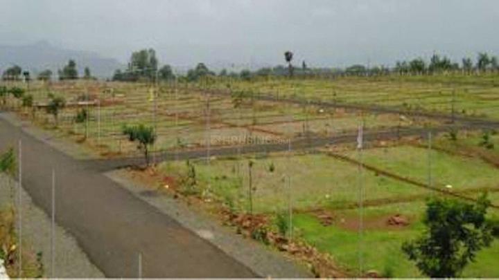 /international/in/thol-ahmedabad-gujarat-250105484697/