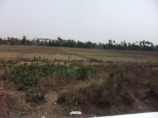 /international/in/sarde-navi-mumbai-maharashtra-250105439706/