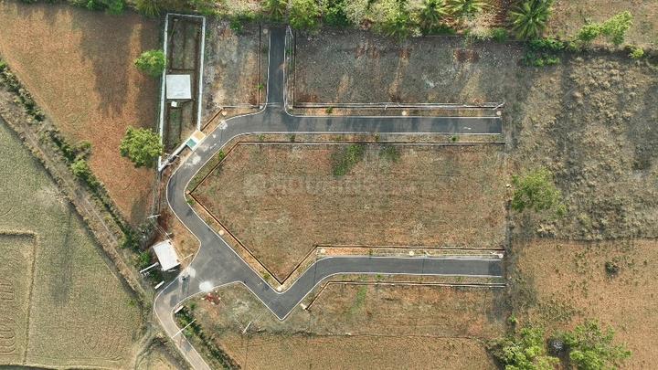 /international/in/varuna-mysore-karnataka-250107525623/