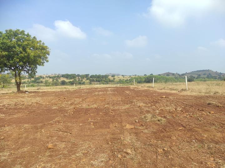 /international/in/sadasivpet-sangareddy-andhra-pradesh-250107093414/