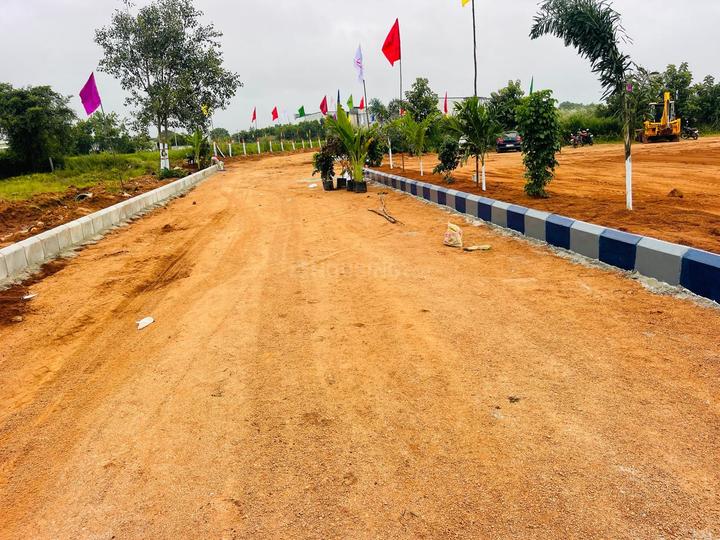 /international/in/shadnagar-ranga-reddy-andhra-pradesh-250105464749/