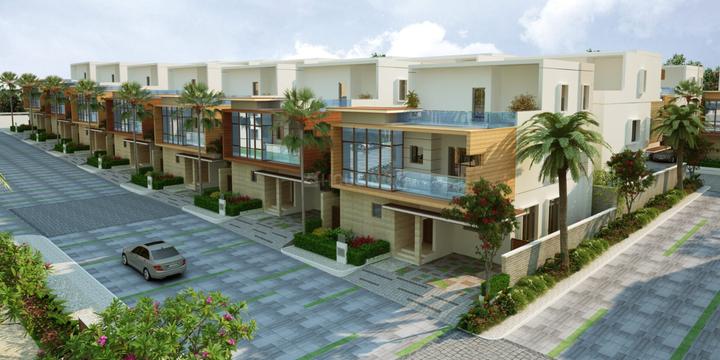 /international/in/noida-extension-greater-noida-uttar-pradesh-250109014196/