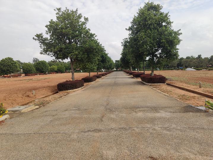 /international/in/devanahalli-bengaluru-karnataka-250106609277/