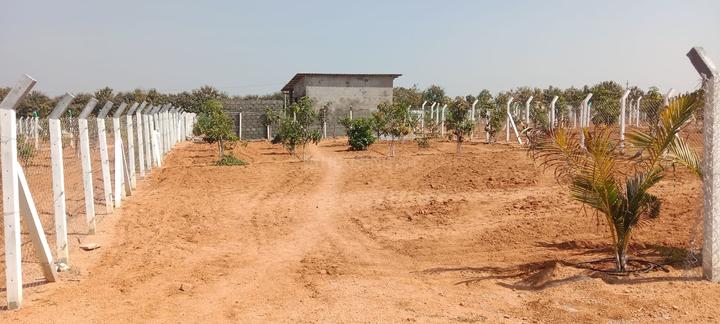 /international/in/keesara-secunderabad-andhra-pradesh-250105826403/