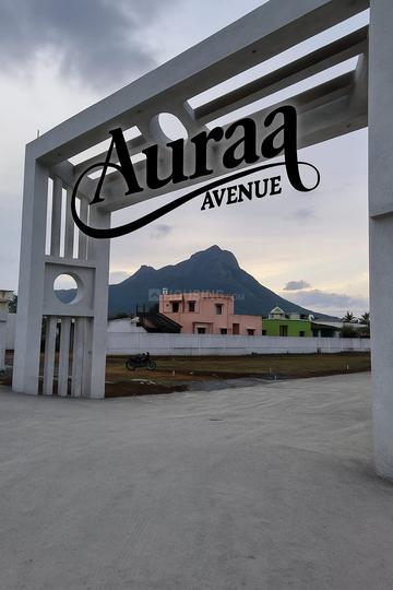 /international/in/thudiyalur-coimbatore-tamil-nadu-250105477926/