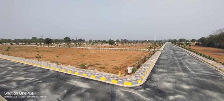 /international/in/shadnagar-ranga-reddy-andhra-pradesh-250105445669/