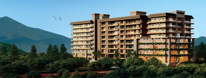 /international/in/malsi-dehradun-uttarakhand-250105536931/