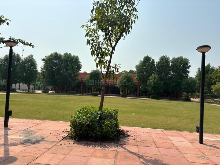 /international/in/rethal-ahmedabad-gujarat-250105826284/