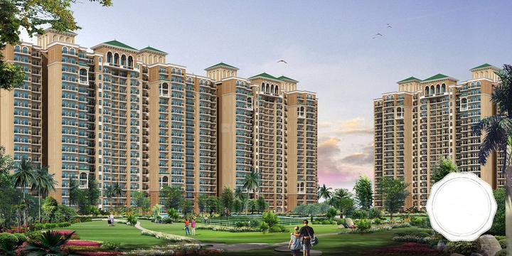 /international/in/arjunganj-lucknow-uttar-pradesh-250108309104/