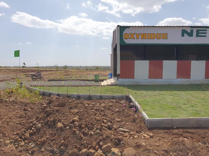 /international/in/narayankhed-sangareddy-andhra-pradesh-250107495505/