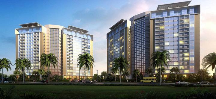 /international/in/sector-43-noida-uttar-pradesh-250107789991/