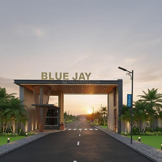 /international/in/peedampalli-coimbatore-tamil-nadu-250108528572/
