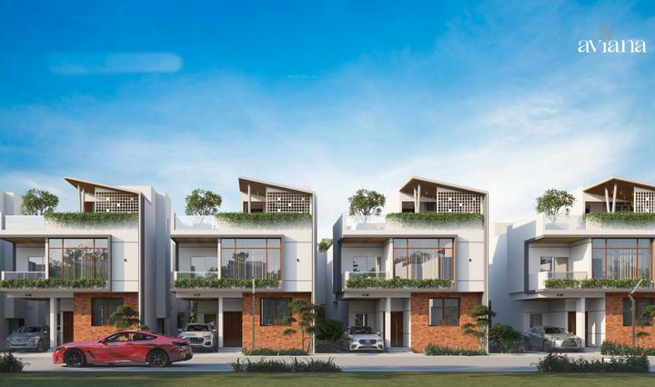 /international/in/soppahalli-bengaluru-karnataka-250107329999/