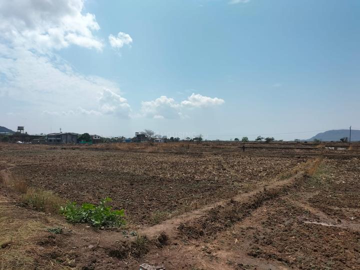 /international/in/ranjanpada-navi-mumbai-maharashtra-250108432069/