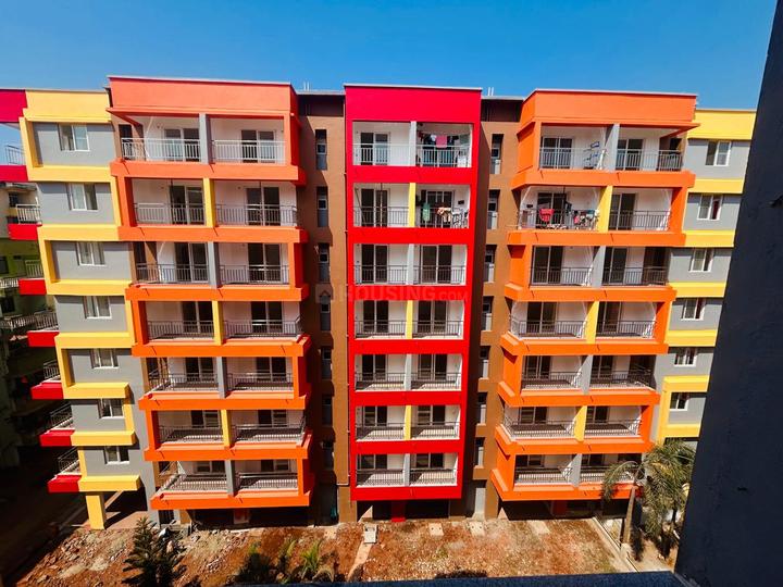 /international/in/sancoale-goa-goa-250105491166/