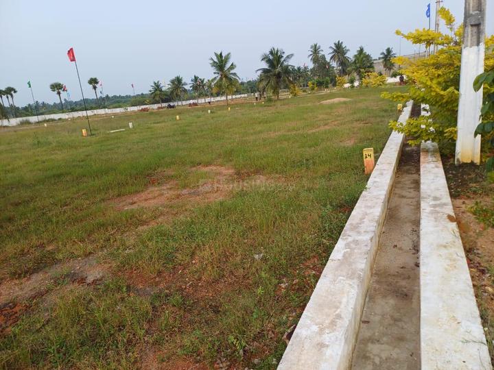 /international/in/bhogapuram-visakhapatnam-andhra-pradesh-250105787209/