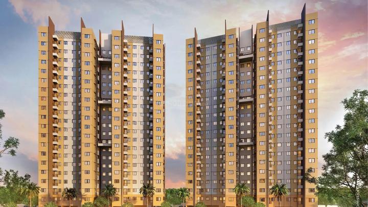 /international/in/salap-howrah-west-bengal-250105479025/