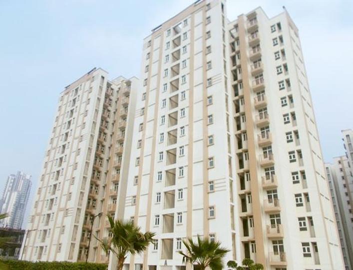 /international/in/sector-67-gurgaon-haryana-250108288789/
