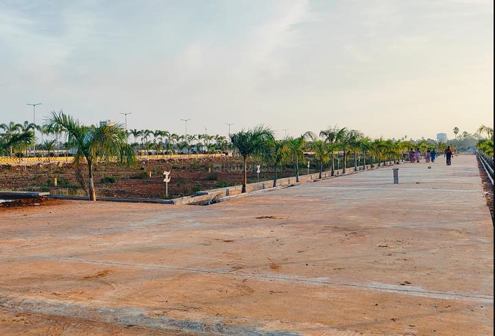 /international/in/payakapuram-vijayawada-andhra-pradesh-250108309303/