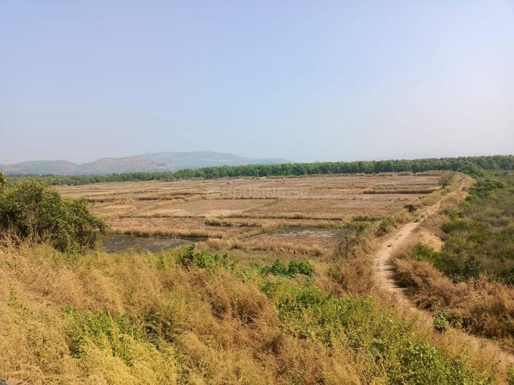 /international/in/pirkone-navi-mumbai-maharashtra-250107065335/