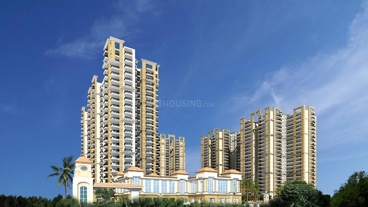 /international/in/sector-75-noida-uttar-pradesh-250108486030/