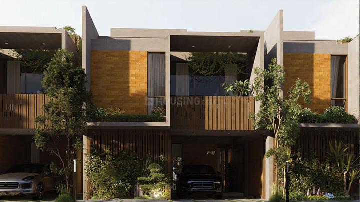 /international/in/attibele-bengaluru-karnataka-250105922639/