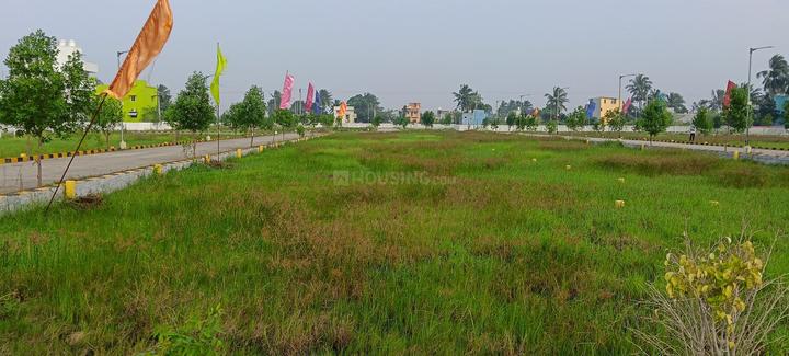 /international/in/madurantakam-chennai-tamil-nadu-250105486543/