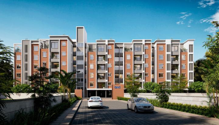 /international/in/pallavaram-chennai-tamil-nadu-250105451467/