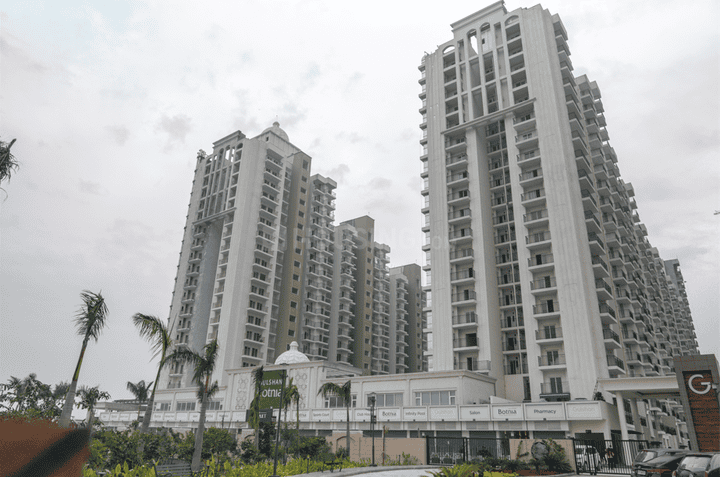 /international/in/sector-144-noida-uttar-pradesh-250107789918/