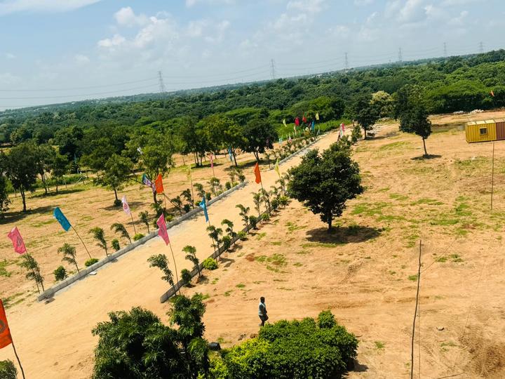/international/in/shadnagar-ranga-reddy-andhra-pradesh-250105485925/