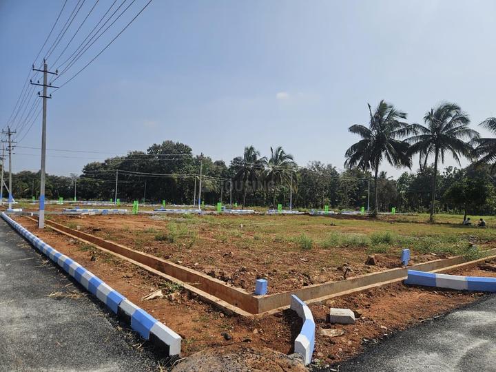 /international/in/marasettihalli-mysore-karnataka-250105941802/