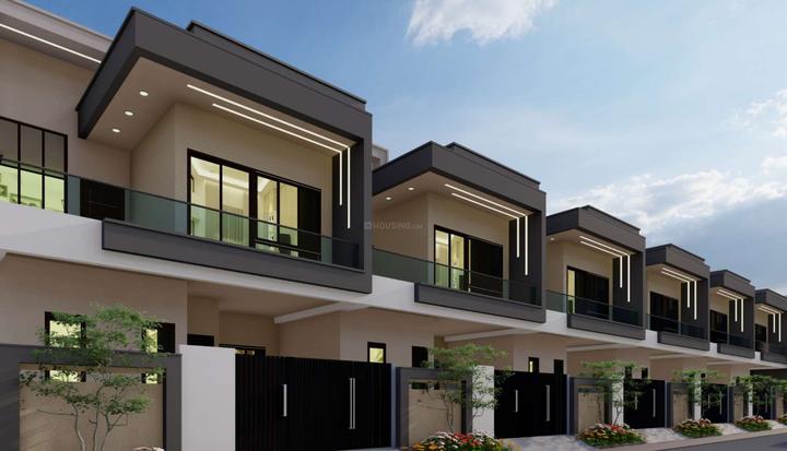/international/in/tehra-agra-uttar-pradesh-250105491674/