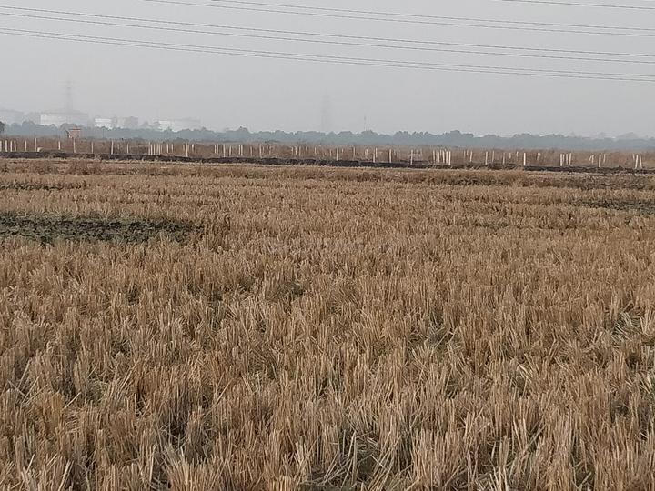 /international/in/vindhane-navi-mumbai-maharashtra-250107065908/