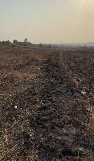 /international/in/punade-raigad-maharashtra-250108246617/