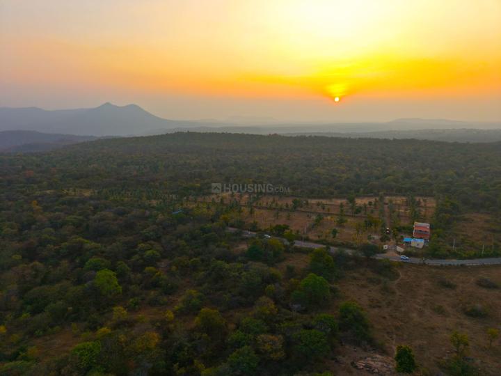 /international/in/kanakapura-bengaluru-karnataka-250105985895/