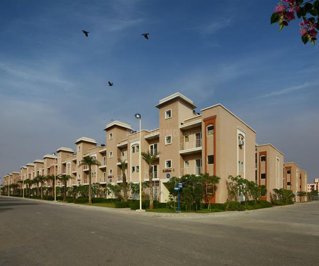 /international/in/sunrakh-bangar-vrindavan-uttar-pradesh-250107271762/
