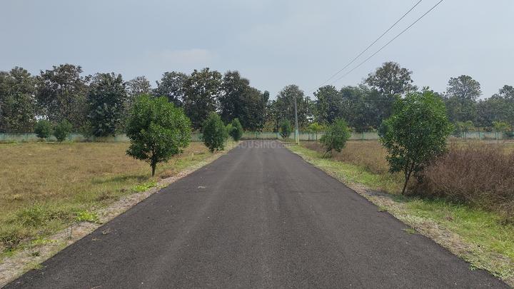 /international/in/palliaraikuppam-chennai-tamil-nadu-250105481618/