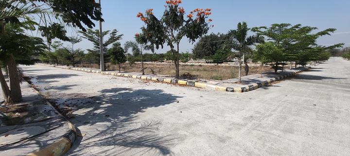 /international/in/shadnagar-ranga-reddy-andhra-pradesh-250105488510/