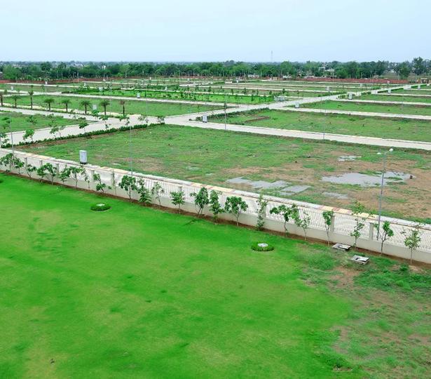 /international/in/patan-kalan-bhiwadi-rajasthan-250108186508/