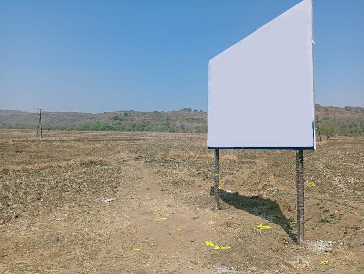 /international/in/uran-mhatwali-maharashtra-250105439194/